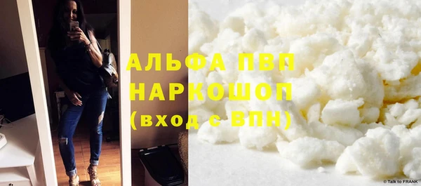 прущие грибы Михайлов
