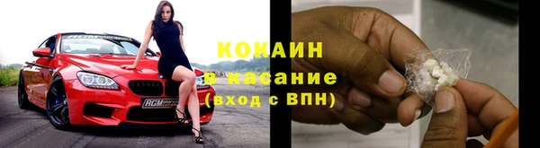 прущие грибы Михайлов