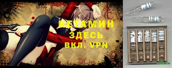 прущие грибы Михайлов
