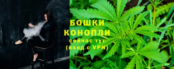 прущие крисы Медвежьегорск