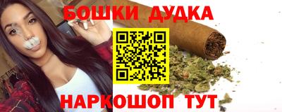 гашик Дубна