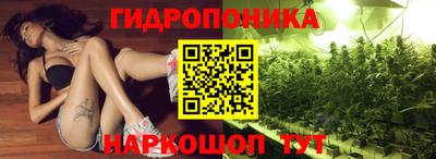 гашик Дубна