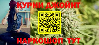 гашик Дубна
