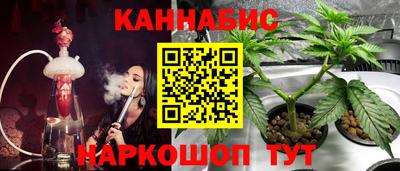 стаф Донецк