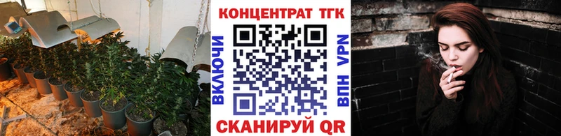 хочу   Благовещенск  ТГК концентрат 